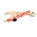 GARFO EMBREAGEM DUCATO 05/...