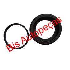 REPARO PINCA TRS DUCATO 