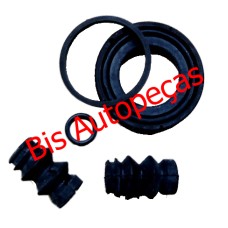 REPARO PINCA TRS DUCATO .../02 REPARO PINCA TRS DUCATO .../02